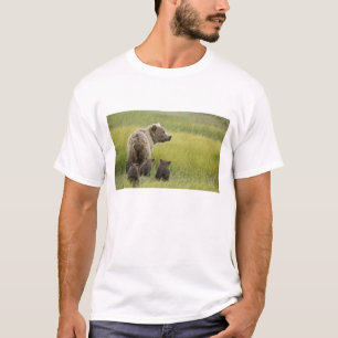 Camiseta EE. UU., Alaska, Parque Nacional Lake Clark. Oso p