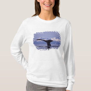 Camiseta EE. UU., Alaska, Pasaje Interior Ballena jorobada