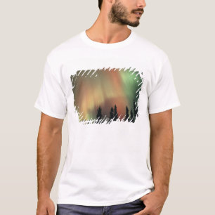 Camiseta EE. UU., área de Fairbanks, Alaska central, Aurora