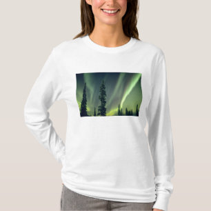 Camiseta EE. UU., área de Fairbanks, Alaska central, Aurora