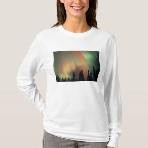 Camiseta EE. UU., área de Fairbanks, Alaska central, Aurora