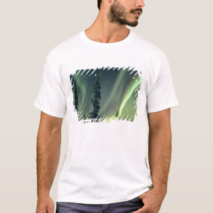 Camiseta EE. UU., área de Fairbanks, Alaska central, Aurora