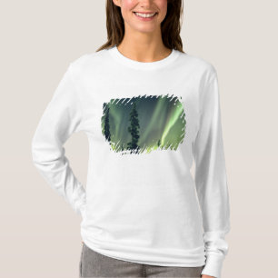 Camiseta EE. UU., área de Fairbanks, Alaska central, Aurora
