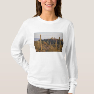 Camiseta EE. UU., Arizona, Desierto de Sonora, Ajo, Ajo 2