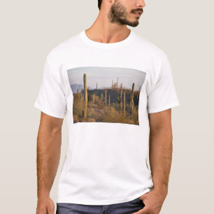 Camiseta EE. UU., Arizona, Desierto de Sonora, Ajo, Ajo 2