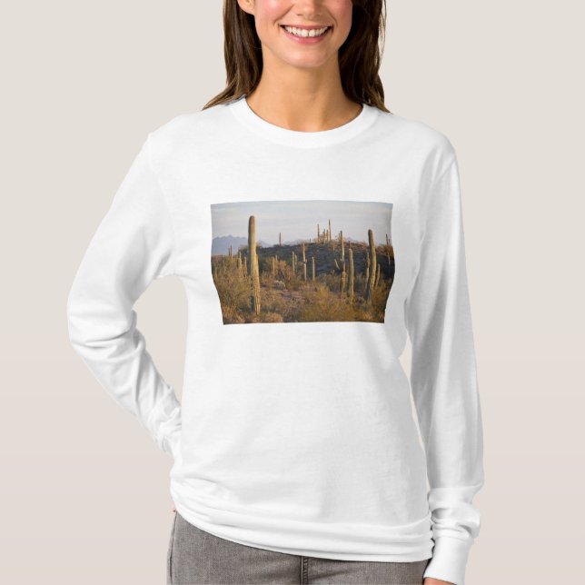 Camiseta EE.UU., Arizona, desierto de Sonoran, jo, jo 2 (Anverso)