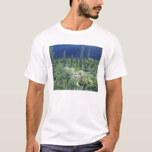 Camiseta EE. UU., Arizona, Monumento Nacional del Cactus de