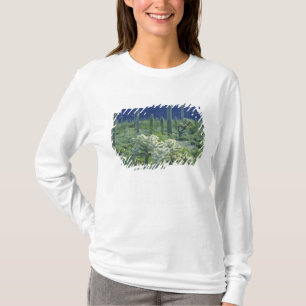 Camiseta EE. UU., Arizona, Monumento Nacional del Cactus de