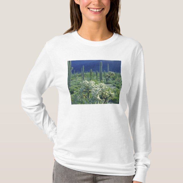 Camiseta EE.UU., Arizona, Organ Pipe Cactus National (Anverso)