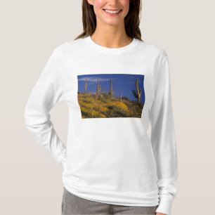 Camiseta EE. UU., Arizona, Parque Nacional Cactus de Tubo d