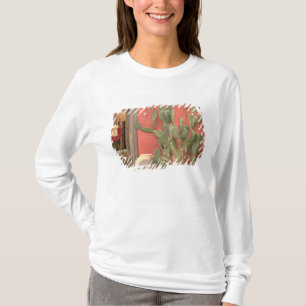 Camiseta EE. UU., Arizona, Tucson: Distrito Histórico Presi