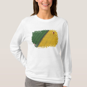 Camiseta EE. UU., Arizona, Val Vista. Globos aerostáticos s