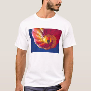 Camiseta EE. UU., Arizona, Val Vista. Un globo aerostático 