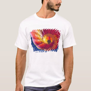 Camiseta EE. UU., Arizona, Val Vista. Un globo aerostático