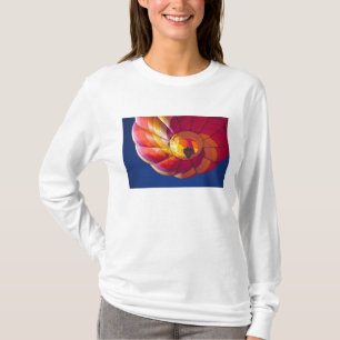 Camiseta EE. UU., Arizona, Val Vista. Un globo aerostático 