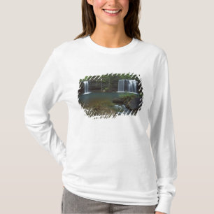 Camiseta EE. UU., Arkansas, Ozark- St Francis Nacional