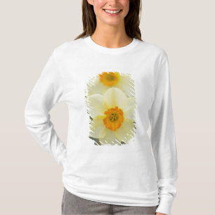 Camiseta EE. UU., Arlington, Virginia, primer plano de blan