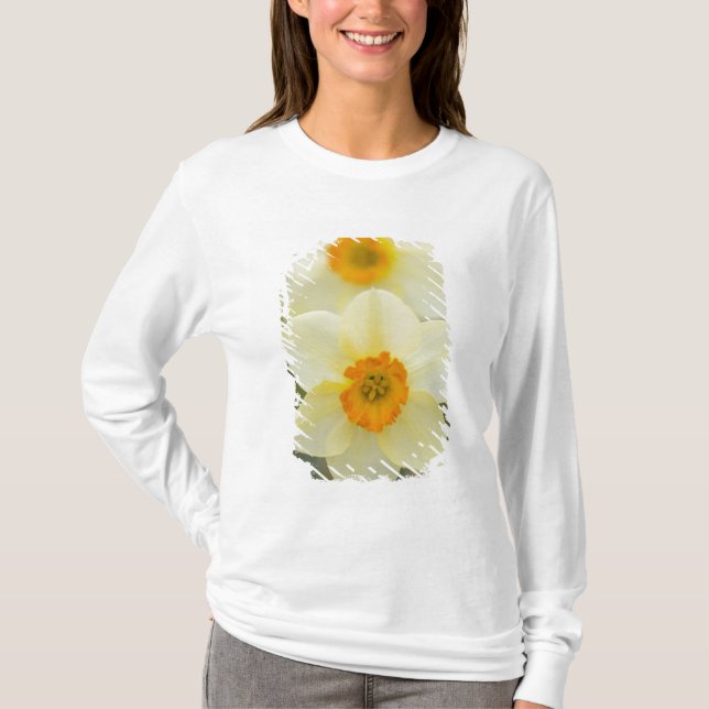 Camiseta EE. UU., Arlington, Virginia, primer plano de blan (Anverso)