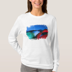 Camiseta EE. UU., California, Alabama Hills, Foto nocturna