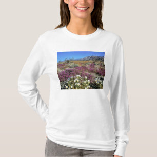 Camiseta EE. UU., California, Anza-Borrego DSP. Duna al ano