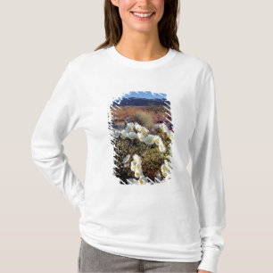 Camiseta EE. UU., California, Anza-Borrego DSP. Duna atarde