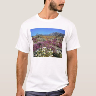 Camiseta EE. UU., California, Anza-Borrego DSP. Tarde de du
