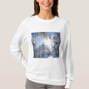Camiseta EE. UU., California, Bosque Nacional Cleveland,