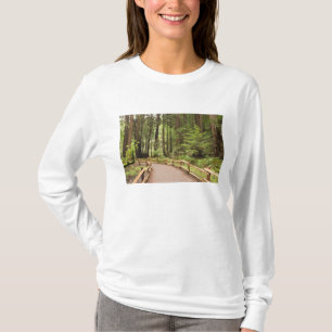 Camiseta EE. UU., California, Condado de Marin, Muir Woods