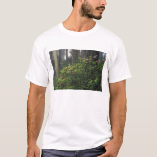 Camiseta EE. UU., California, Del Norte, Parque Estatal Red