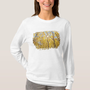 Camiseta EE. UU., California, Montañas de la Sierra Nevada.