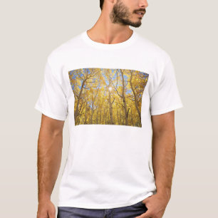 Camiseta EE. UU., California, Montañas de Sierra Nevada. Ot