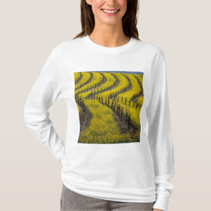 Camiseta EE. UU., California, Napa Valley, Los Carneros Ava