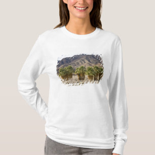 Camiseta EE. UU., California, Parque Estatal del Desierto d