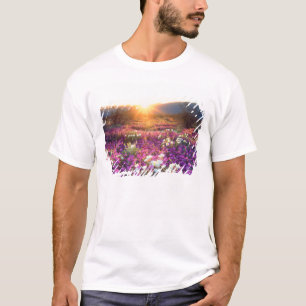 Camiseta EE. UU., California, Parque Estatal del Desierto d