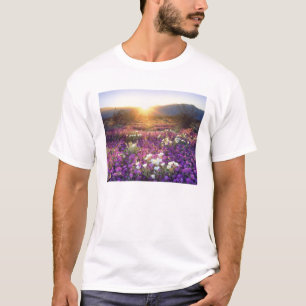 Camiseta EE. UU., California, Parque Estatal Desierto de An