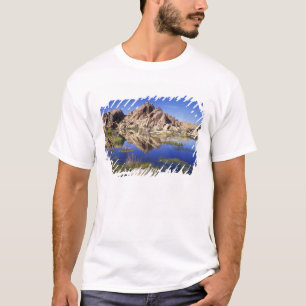 Camiseta EE. UU., California, Parque Nacional Joshua Tree,