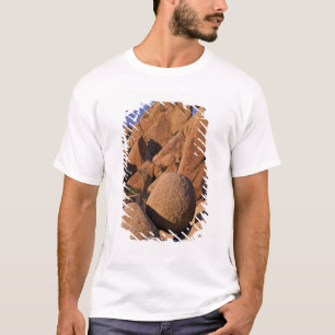Camiseta EE. UU., California, Parque Nacional Joshua Tree.