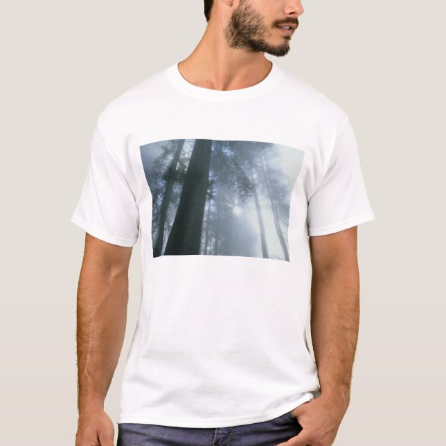 Camiseta EE.UU., California, Parque Nacional Redwood, Del (Anverso)