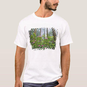 Camiseta EE. UU., California, Parque Nacional Redwood. Rhod