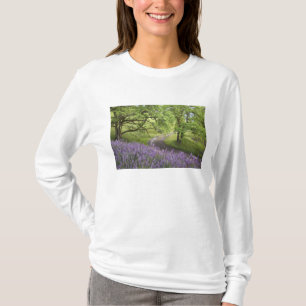 Camiseta EE. UU., California, Parque Nacional Redwood. Tier