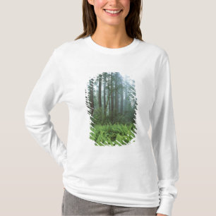 Camiseta EE.UU., California, Redwood NP. Ferrocarriles y