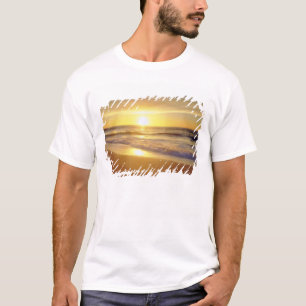 Camiseta EE. UU., California, San Diego. La Jolla Shores