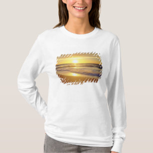 Camiseta EE. UU., California, San Diego. La Jolla Shores