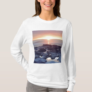 Camiseta EE. UU., California, San Diego. Marea baja en Suns