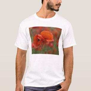 Camiseta EE. UU., Carolina del Norte. Dos amapolas rojas