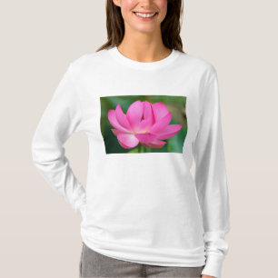 Camiseta EE. UU.; Carolina del Norte; Flor de loto