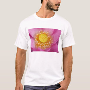 Camiseta EE. UU.; Carolina del Norte; Loto floreciendo en l