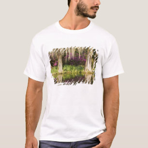 Camiseta EE. UU., Carolina del Sur, Charleston. Cipreses