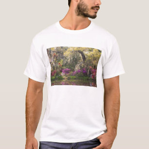 Camiseta EE. UU., Carolina del Sur, Charleston. Cipreses 2