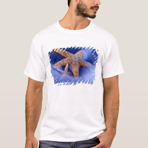 Camiseta EE. UU., Carolina del Sur, Isla Hilton Head. Dos